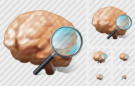 Brain Search 2 Icon Brain Search 2 Icon