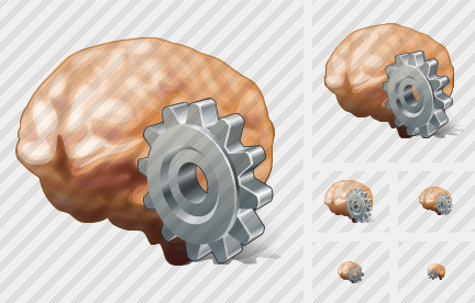 Brain Settings Icon Brain Settings Icon