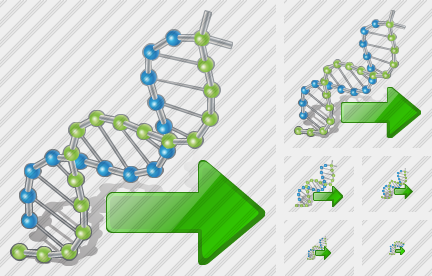 Icône Dna Export