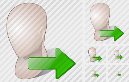 Icône Head Export