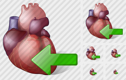 Heart Import Icon