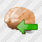 Brain Import Icon
