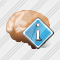 Brain Info Icon