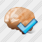 Brain Ok Icon