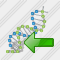 Иконка ДНК Импорт