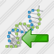 Dna Import Icon