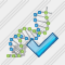 Dna Ok Icon