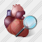 Heart Search 2 Icon