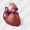 Heart Icon