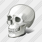 Skull Icon