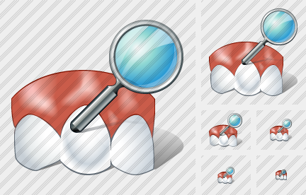 Normal Tooth Search Icon Normal Tooth Search Icon