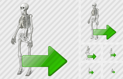 Icône Skeleton Export Icône Skeleton Export