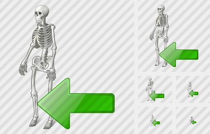 Icône Skeleton Import