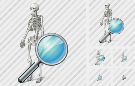 Icône Skeleton Search