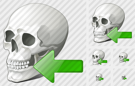 Icono Skull Import