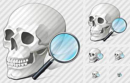 Skull Search 2 Icon Skull Search 2 Icon