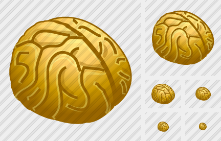 Brain Icon Brain Icon